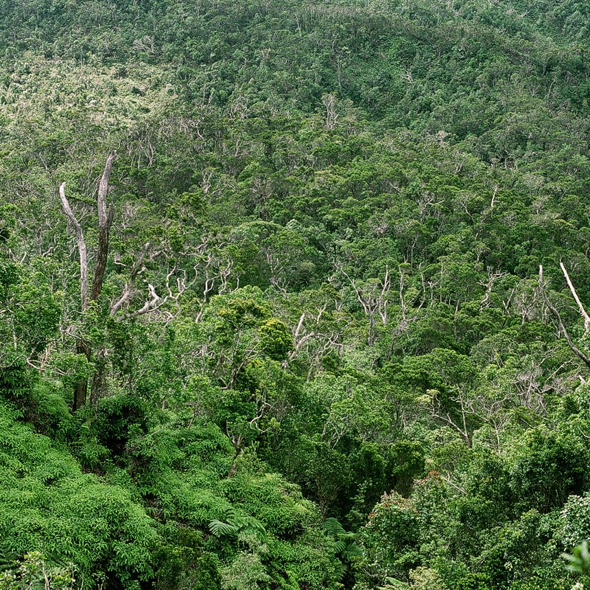 bwindi-1 (1)