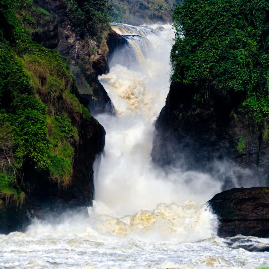 murchison-1