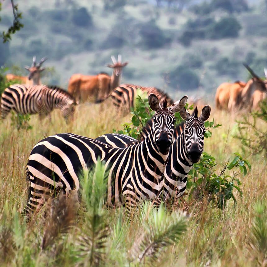 rwanda-1 (1)