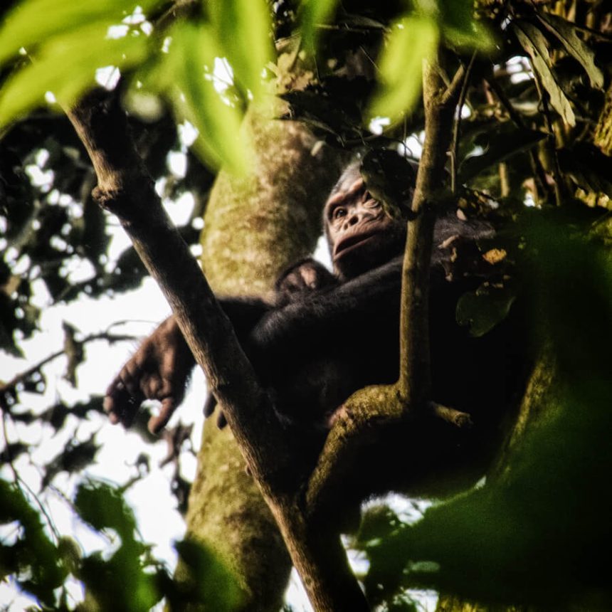 rwanda-2 (1)