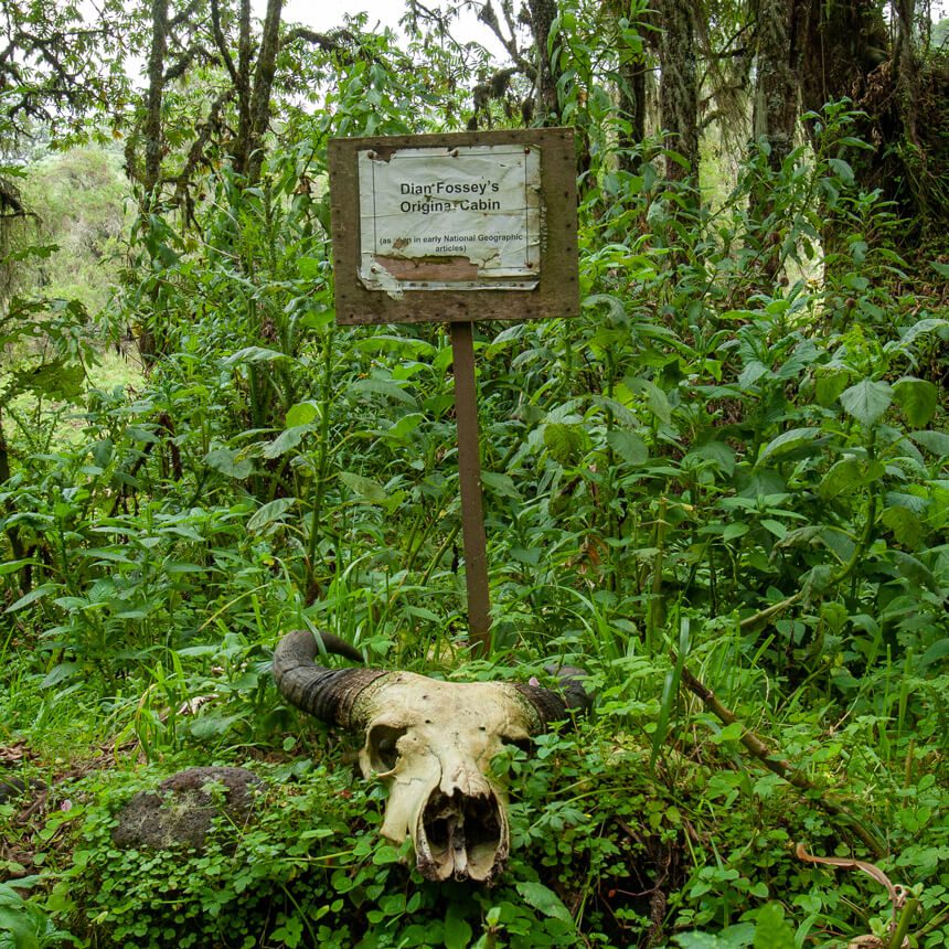 rwanda-4 (1)