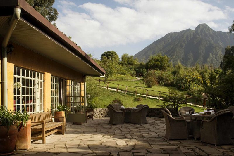 silverback-rwanda (1)